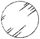 細胞爬片（Round Cover Slips）